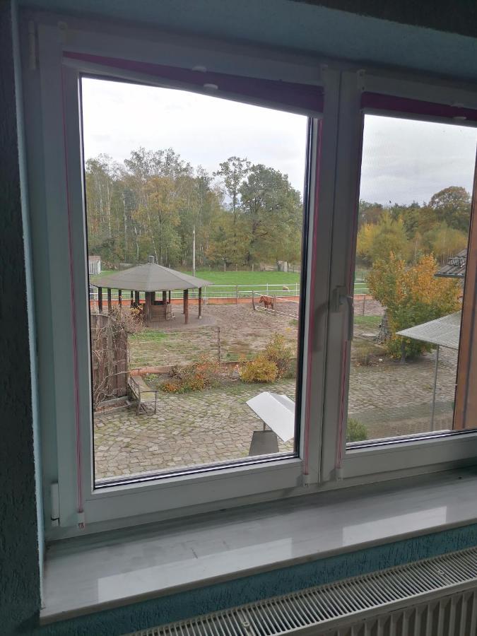 Weidmannsruh Apartment Fuer 2 Bis 3 Personen Frauendorf  Eksteriør billede